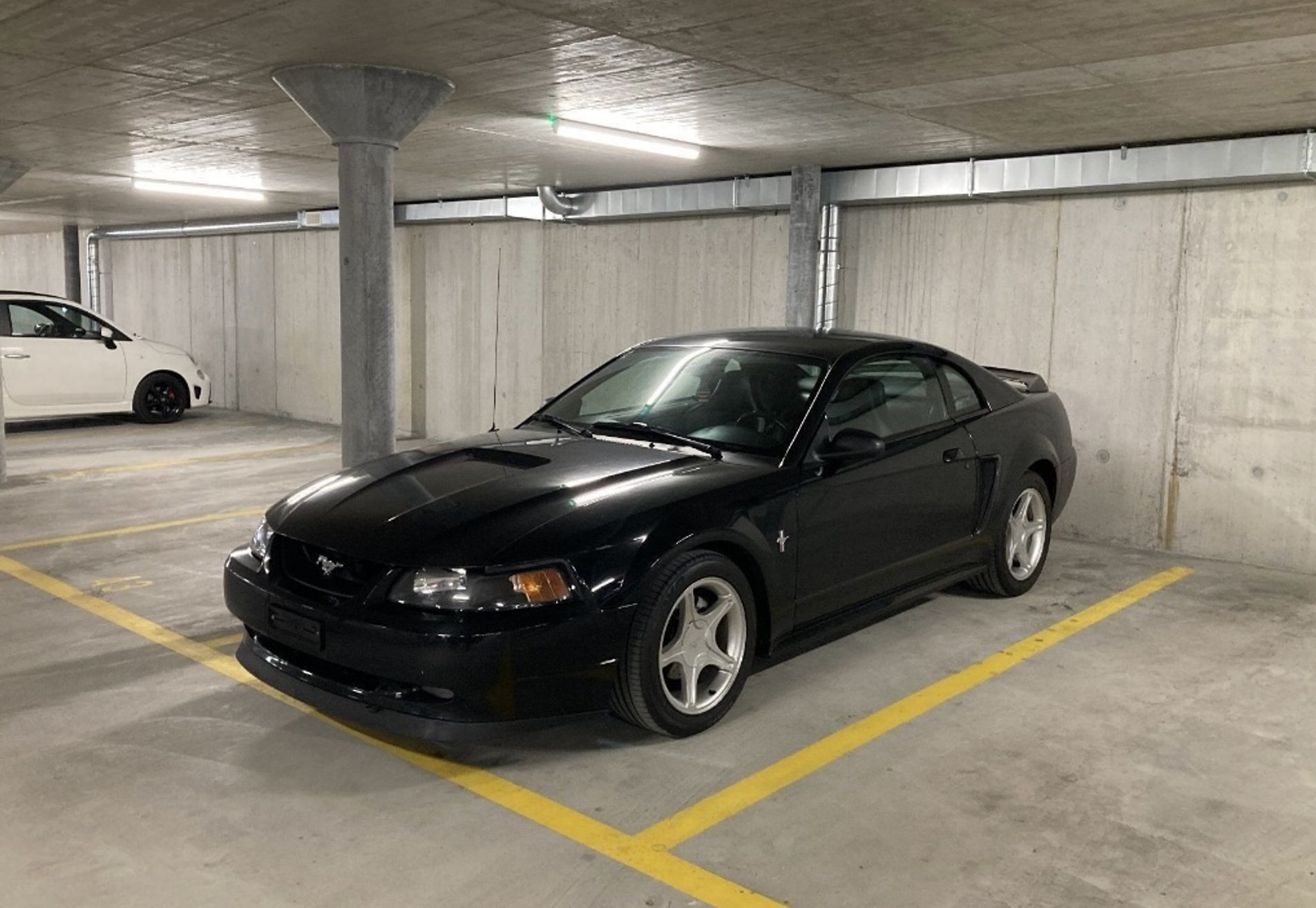 Example Ford Mustang New Edge